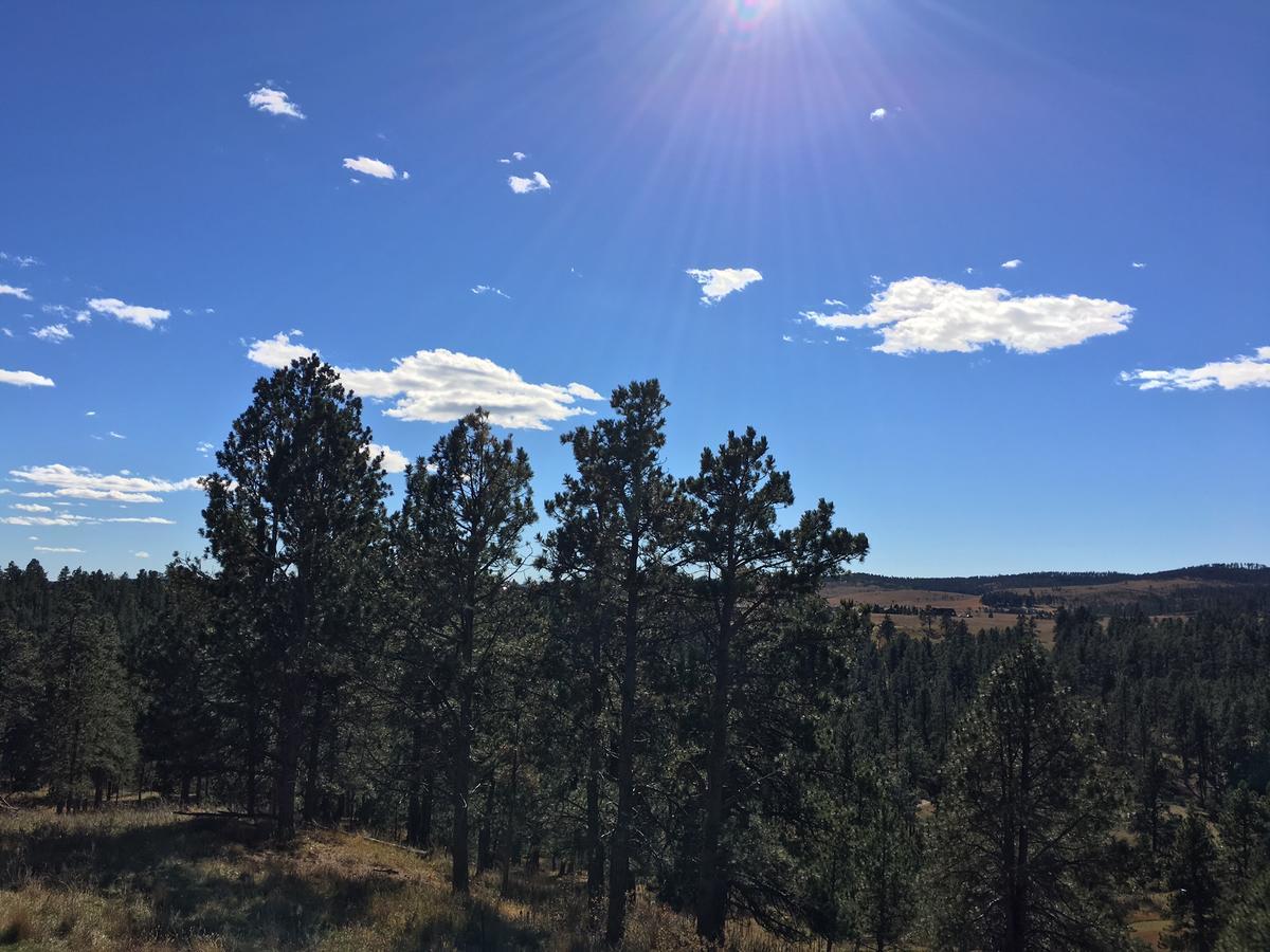 Priceless Black Hills View Rapid City Exterior photo